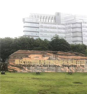 Chongqing Fuling mustard 55 inch 3.5mm3x5 decoder + cabinet