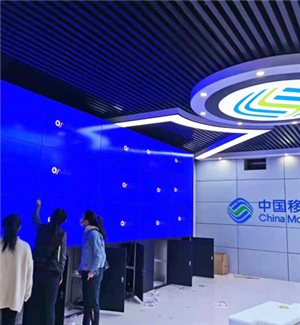 Guangxi Laibin Youth Technology Service Center (China Mobile) 55 inch 3.5MM3X5 cabinet